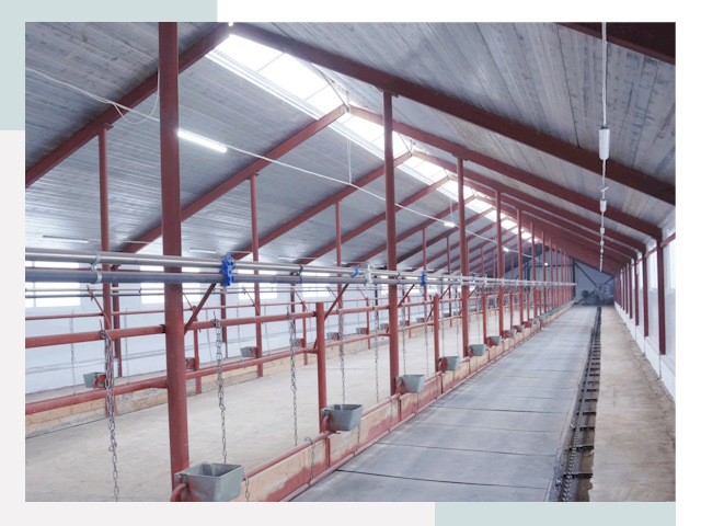 Строительство коровников в Соль-илецке от 625 руб.