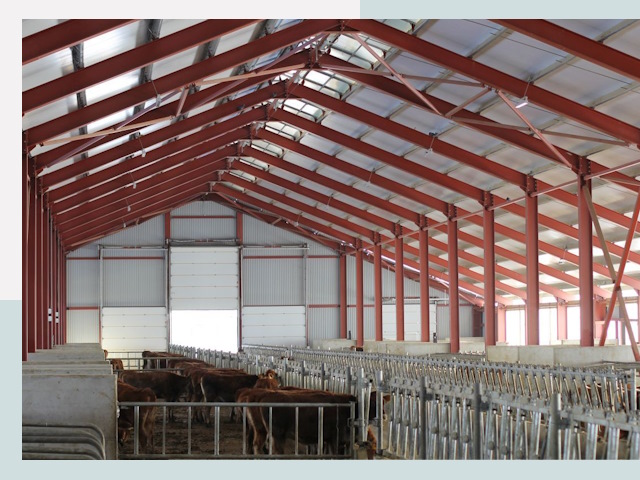 Строительство коровников в Соль-илецке