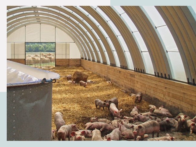 Строительство свинарников в Соль-илецке