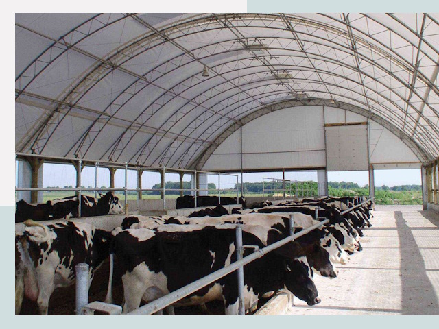 Тентовые коровники в Соль-илецке